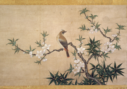 Bird on peach blossom, c.1550-60 (watercolour on paper)