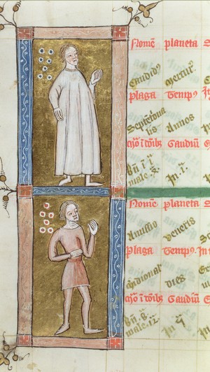 Royal Ms 12 C V fol.19v Figures from an astrological geomancy, late 14th century (vellum)