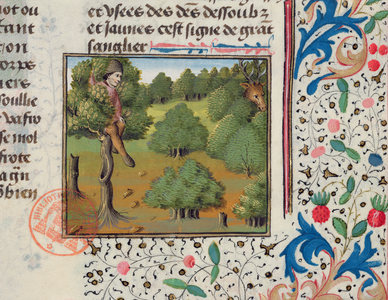 Waiting for Deer Hiding in a Tree, from the 'Livre de la Chasse' by Gaston Phebus (vellum)