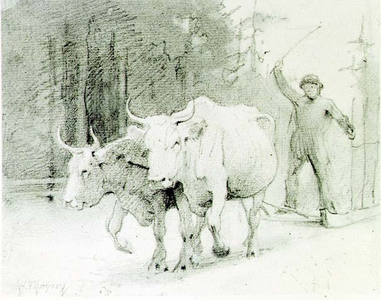A French Peasant Driving Oxen (charcoal on paper)