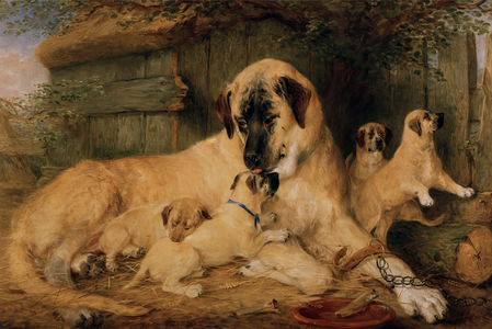 One Touch of Nature Maketh the Whole World Kin