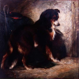 The Shepherd's Collie, 1878