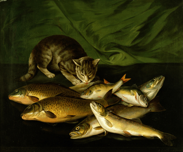 A Cat with Trout, Perch and Carp on a Ledge
