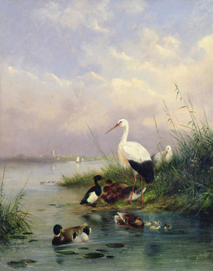 A family of Mallard, two Storks and a family of Tufted Ducks (pair of 77886)