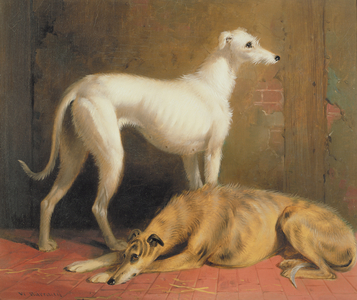 Deerhounds in an Interior