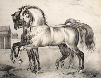 The horses ridden by Louis Philippe, the Duke of Orleans at the Battle of Valmy, engraved by Victor Adam (1801-66) c.1834-38 (litho)