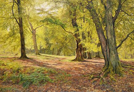 In the Beechwoods (oil on canvas)