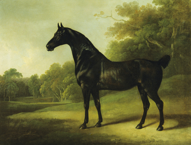 A Bay Horse in a Wooded Landscape, 1814 (oil on canvas)
