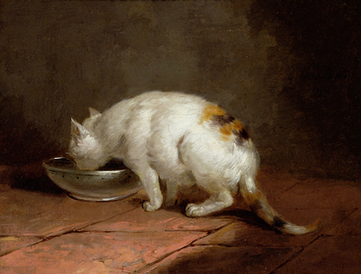 The Artist's Cat Drinking, 1792 (oil on canvas)