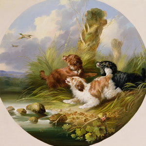 Three Spaniels Flushing Mallard (oil on canvas)