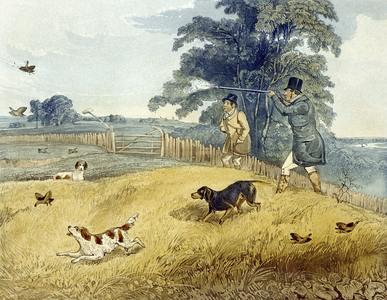 Flushing Birds, plate from 'Partridge Shooting', engraved by Joseph Clayton Bentley (1809-51) 1835 (colour engraving)