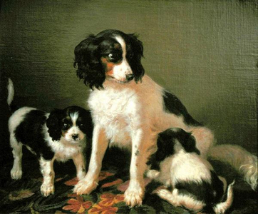 A spaniel with two puppies (oil on canvas)