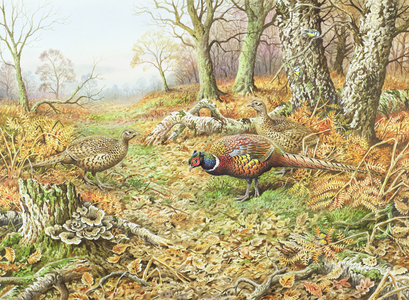 Pheasants with Blue Tits