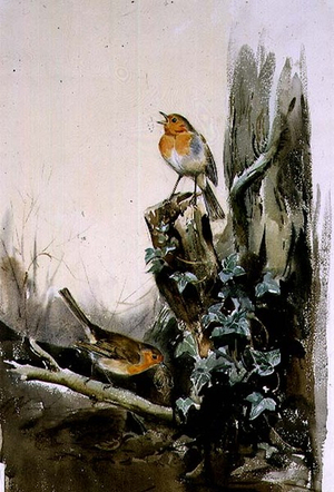 Robins and Ivy (watercolour)