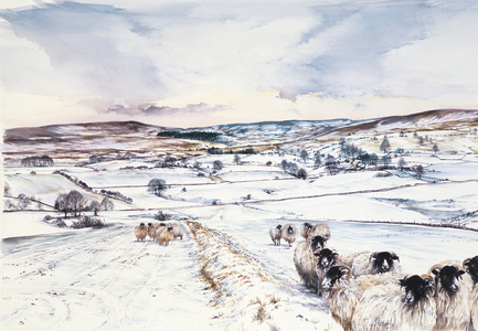 Across Swaledale to Staindrop