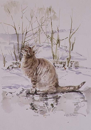 Is it a Bird? Is it a Plane?