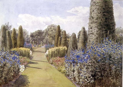The Herbaceous Border (w/c on paper)