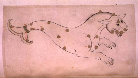 Constellations: Cetus, the whale, 1497-98 (903 Hijra) (ink)