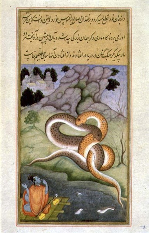 The Raj Kunwar Watches Two Snakes Entwined in Battle by a Deserted Shore (vellum)