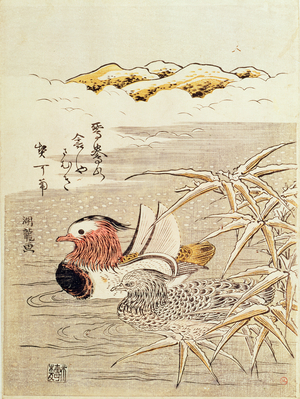 A Pair of Mandarin Ducks, (colour woodblock print)