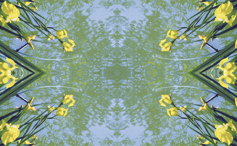 Unnatural 17 (digitally manipulated photo)