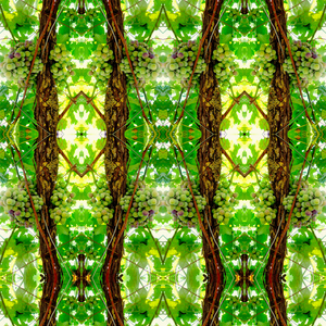 Unnatural 74 (digitally manipulated photo)
