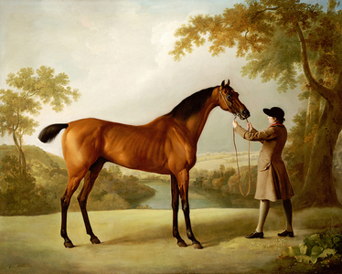 Tristram Shandy, a Bay Racehorse Held by a Groom in an Extensive Landscape, c.1760 (oil on canvas)