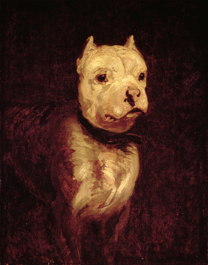 Portrait of a bulldog (painting)