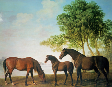 Shafto Mares and a Foal (oil on canvas)