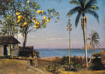 Tropical Scene (oil on paper laid on board)