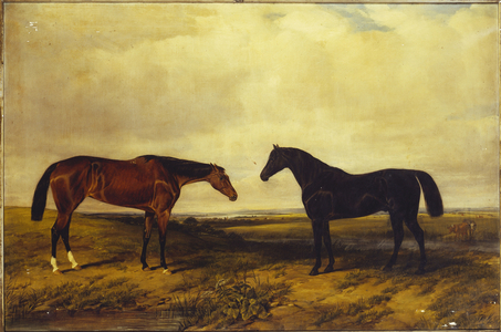 The Earl of Granard's bright bay filly and dark bay stallion, 1885 (oil on canvas)