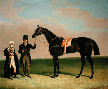'Rockingham', owned by Mr Richard Watt (oil on canvas)