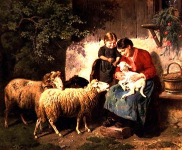 The Pet Lamb