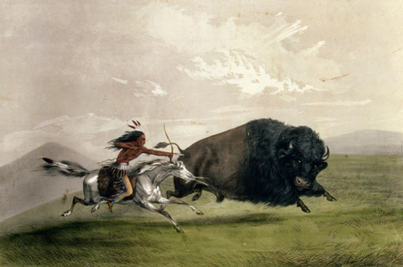 The Buffalo Chase 'Singling Out', pub. by Currier and Ives (colour litho)