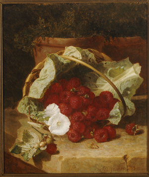 Raspberries in a Cabbage Leaf Lined Basket with White Convulvulus on a Stone Ledge, 1880 (oil on canvas)