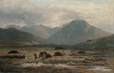 Peat Bog, Letterfrack, Connemara (oil on canvas)