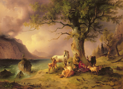 Sheltering from the storm