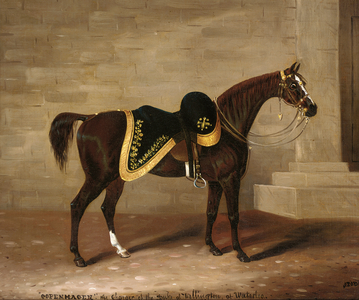 Copenhagen, the charger of the Duke of Wellington at Waterloo (oil on canvas)