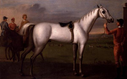 Groom holding a grey racehorse