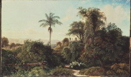 Cuban Landscape (oil on canvas)