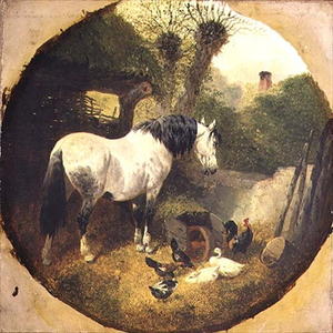 A Carthorse eating hay from a wheel-barrow in a farmyard