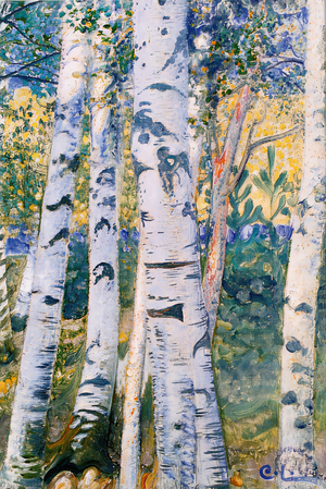 Birch Trees, 1910 (oil on canvas)