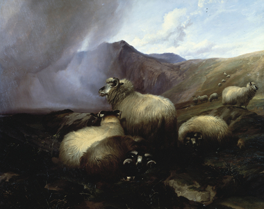 Highland Sheep in a Mountainous Landscape, 1854 (oil on canvas)