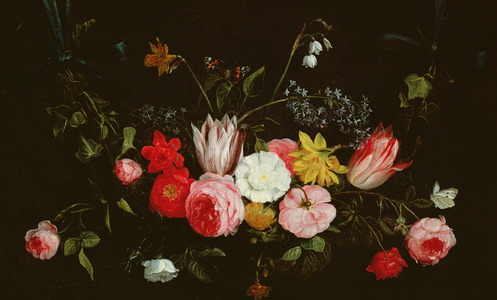 Still Life, flowers and butterflies