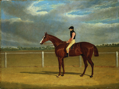 The Racehorse 'The Colonel' with William Scott Up (oil on canvas)