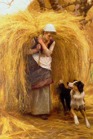 Returning from the Hayfield