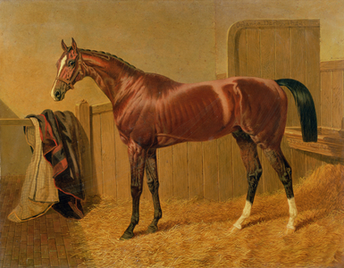 'Orlando', Winner of the Derby in 1844 (oil painting)