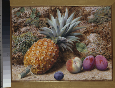 A Pineapple, a Peach and Plums on a Mossy Bank (pencil & watercolour heightened with bodycolour on paper)