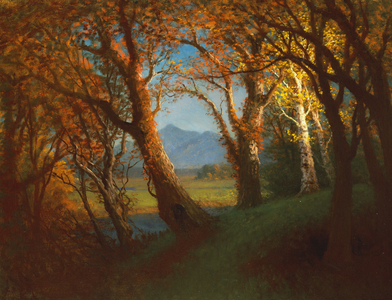 Sunset in the Nebraska Territory (oil on canvas)