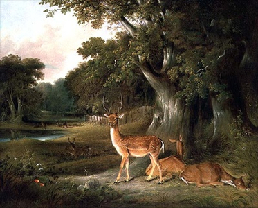 Deer in a wooded landscape